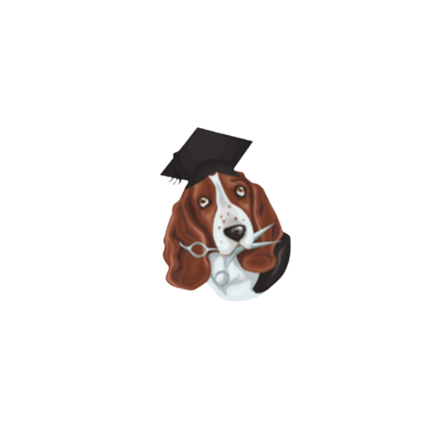 Leicester Dog Grooming